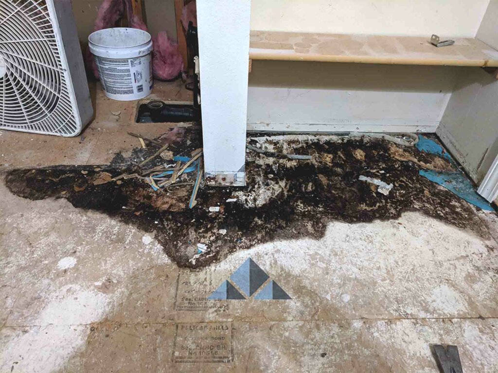 wet and moldy osb subfloor